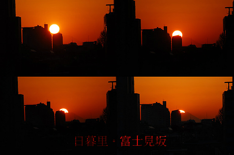 b0091575_83156.jpg