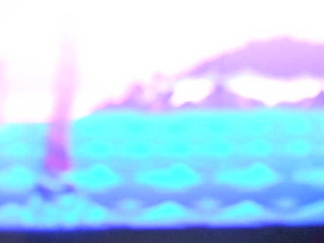 d0084677_2012179.jpg