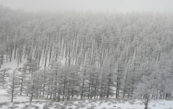 e0024081_9275786.jpg