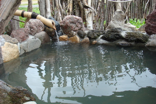 a0067991_912525.jpg