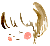 b0150396_1649326.gif