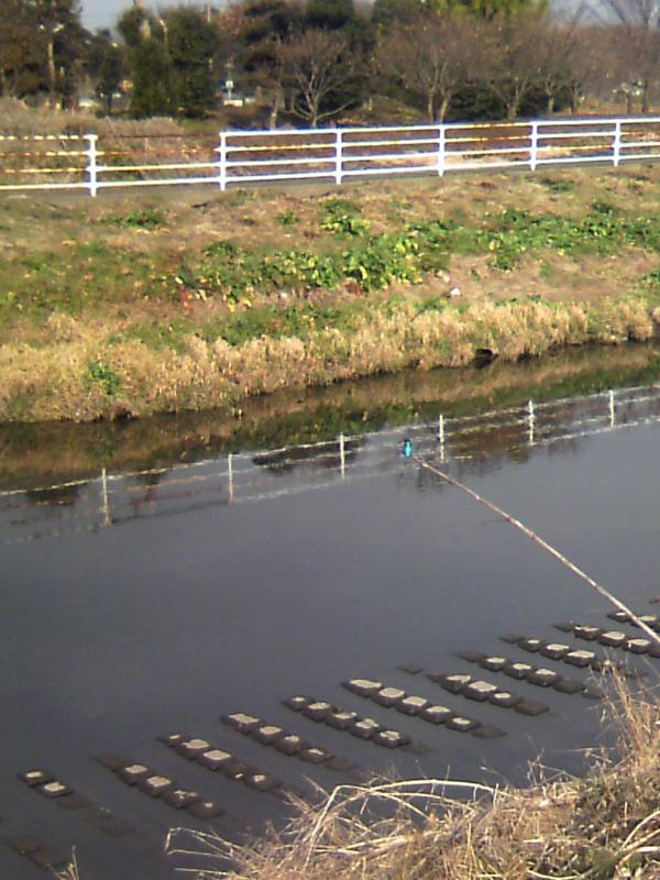 b0024798_6252568.jpg