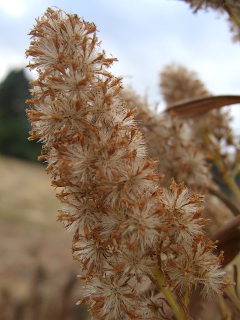 f0143119_204993.jpg
