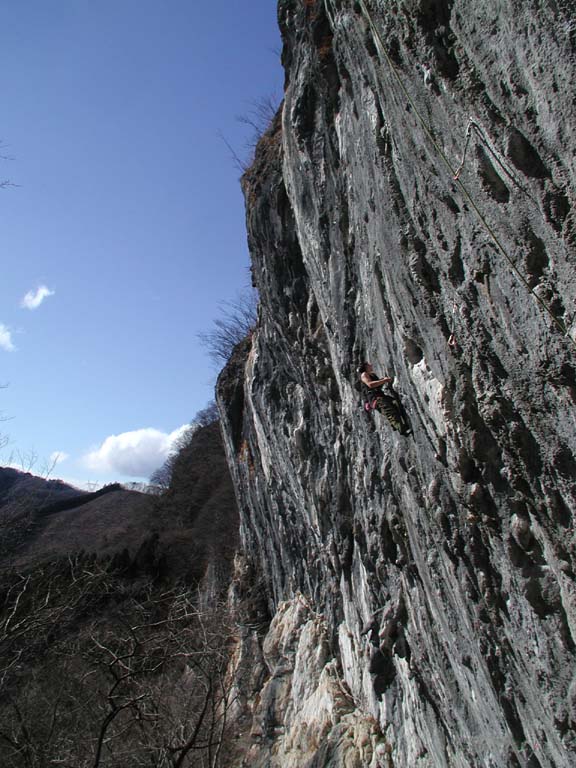 2009年1月24日、二子山_b0037220_2353567.jpg