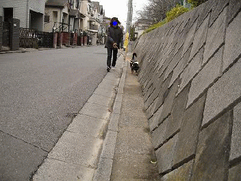 e0162524_2195181.gif