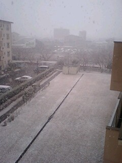 amazing snow in hara-danchi_e0113826_1691221.jpg