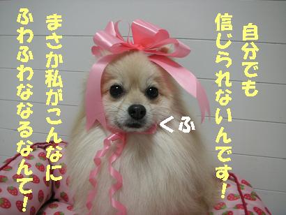 ガウガウ犬クリたんお風呂の巻_c0179136_2582884.jpg