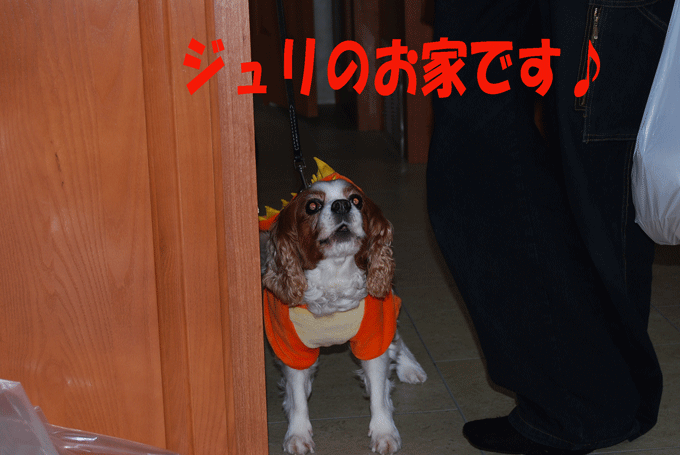 c0136838_21123735.gif