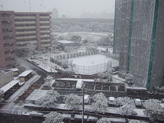 雪明り　叙情的だな　熱燗飲むか……_c0070439_22383870.jpg