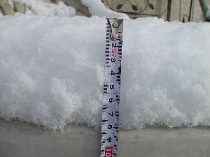 a0054240_1738163.jpg