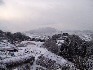 a0054240_17385323.jpg