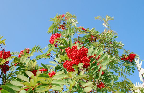 e0098241_20152414.jpg