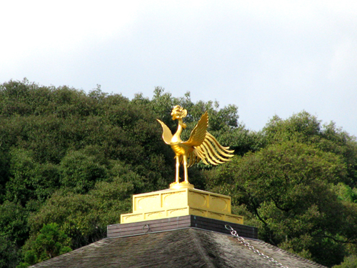 関西旅行　京都観光　金閣寺_d0084750_1823695.jpg