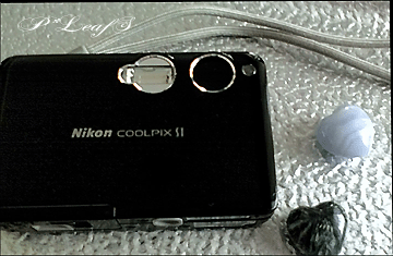 c0176651_20313796.gif