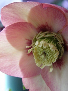 e0118257_17441415.jpg