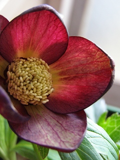 e0118257_17444136.jpg