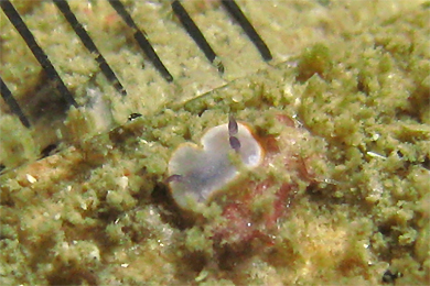 2009/01/23 Fri._e0158261_8484830.jpg