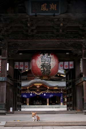 f0168361_19382117.jpg