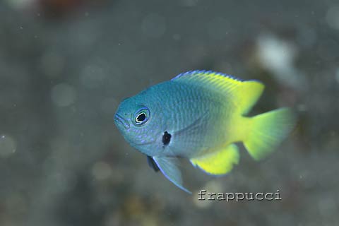d0056263_2217169.jpg