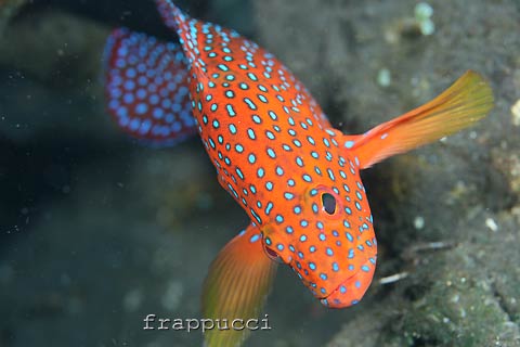 d0056263_2219036.jpg