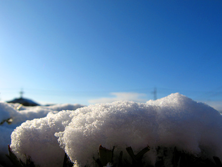 c0104371_1712728.jpg
