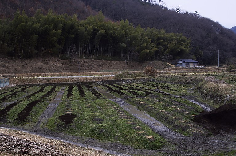 里山　黒川スナップ　２　20090123_a0050572_18463135.jpg