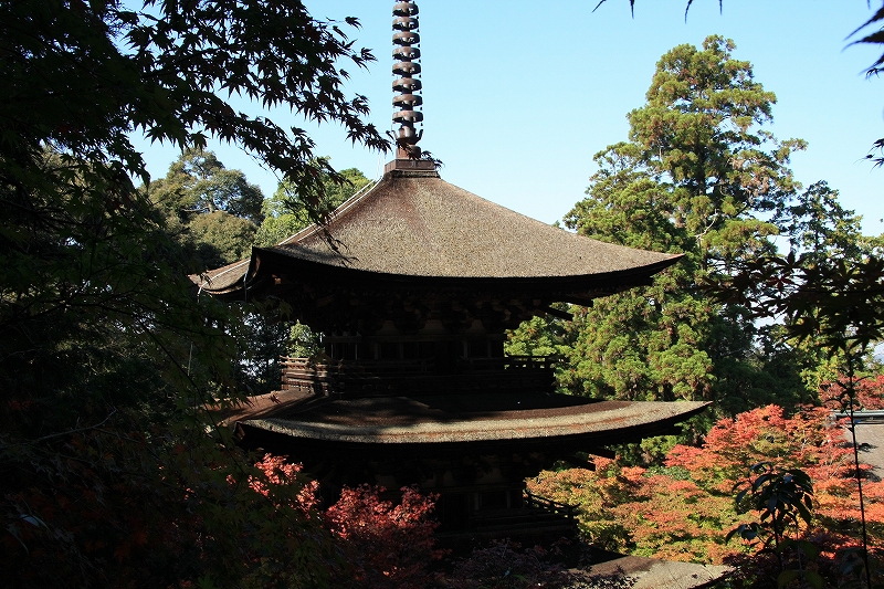 湖東三山 西明寺_c0196076_14144046.jpg