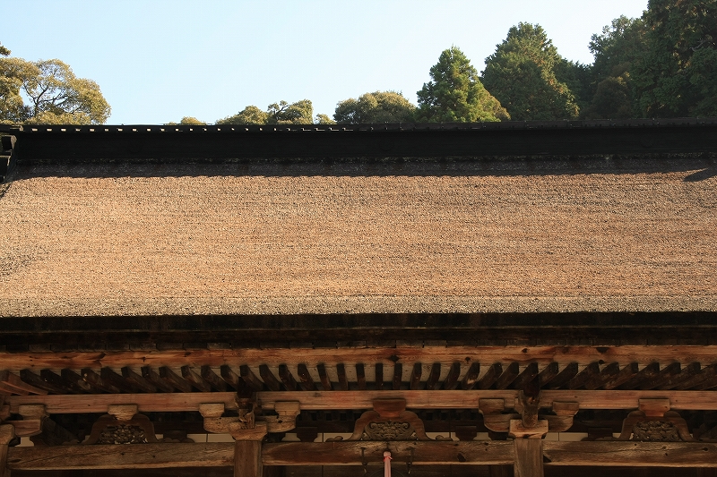 湖東三山 西明寺_c0196076_14175881.jpg