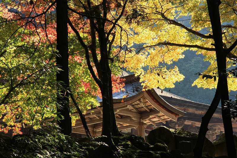湖東三山 西明寺_c0196076_14183769.jpg