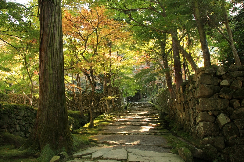 湖東三山 西明寺_c0196076_1422736.jpg