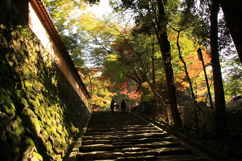 湖東三山 西明寺_c0196076_1423529.jpg