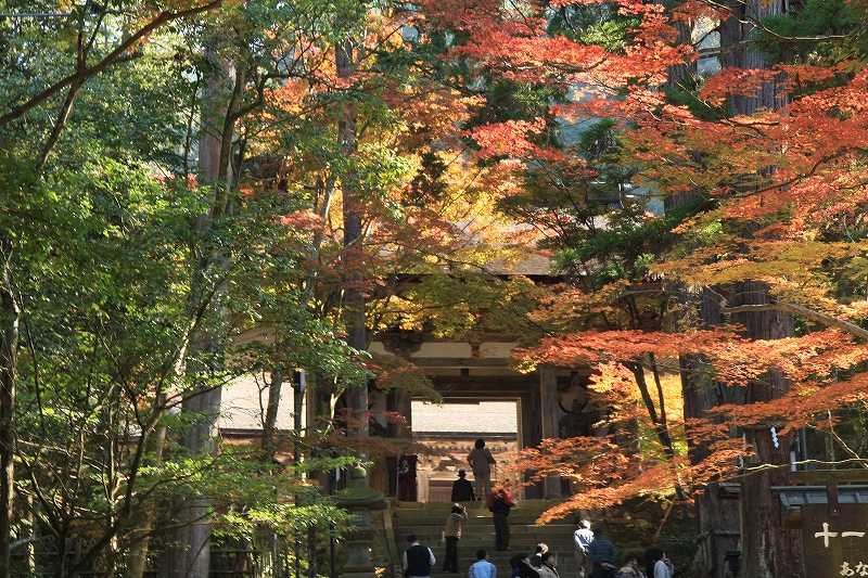 湖東三山 西明寺_c0196076_14323286.jpg
