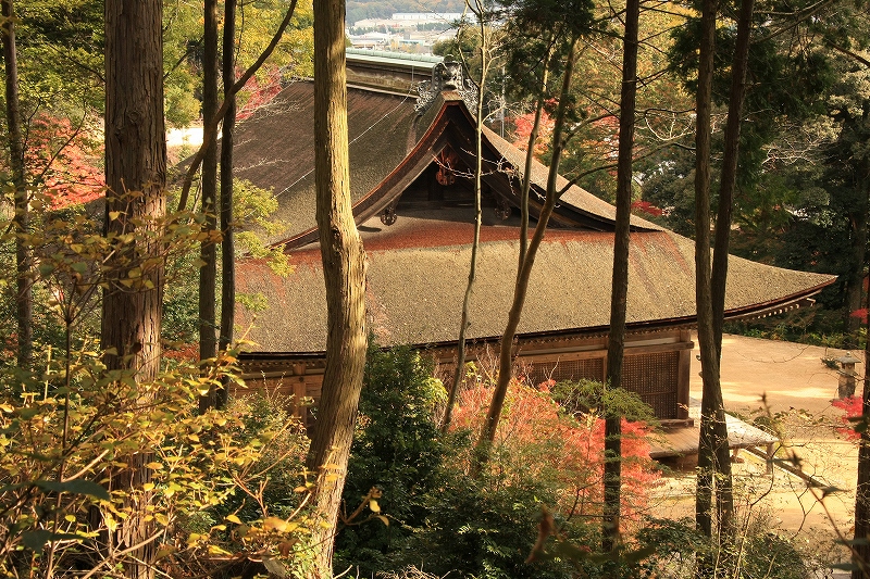 湖南三山　善水寺_c0196076_15402423.jpg