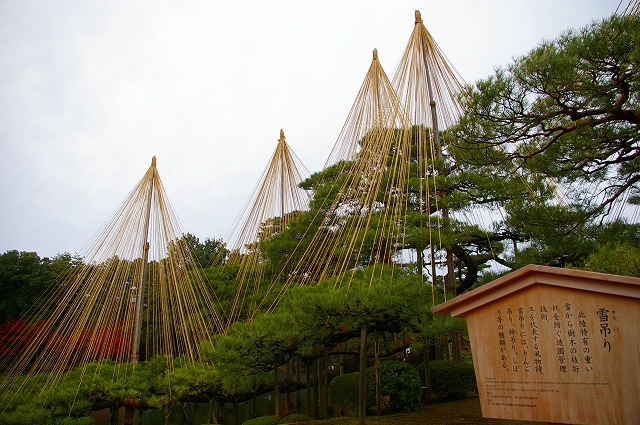 f0168478_1033060.jpg