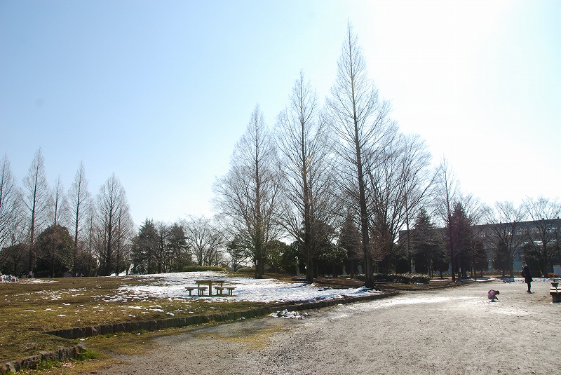 c0187781_13777.jpg