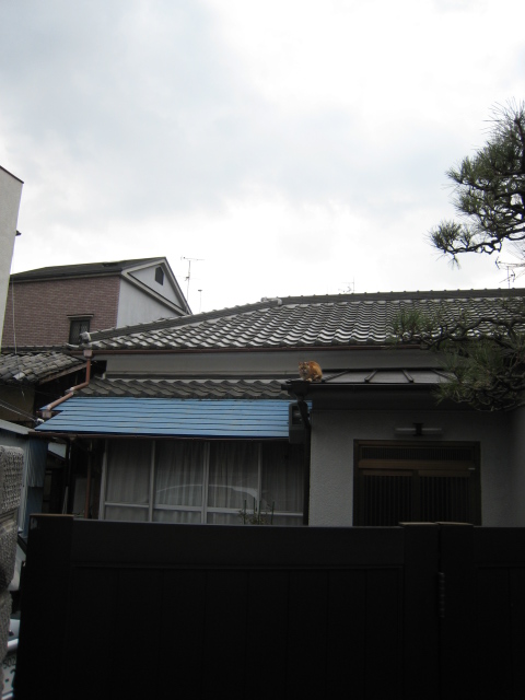  京都　寿ビル_b0137082_1422255.jpg