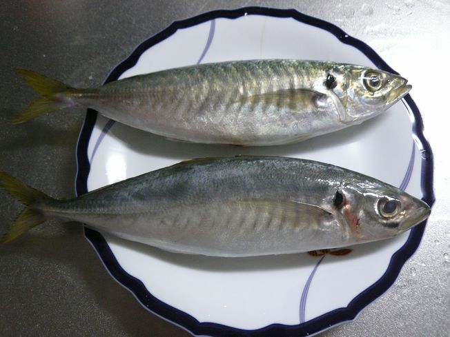 アジの開き 料理編_f0097683_20283760.jpg