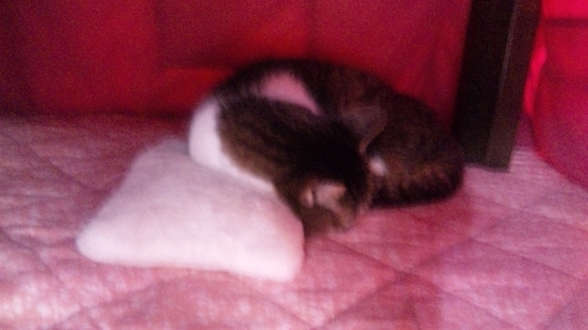 c0180885_1025013.jpg