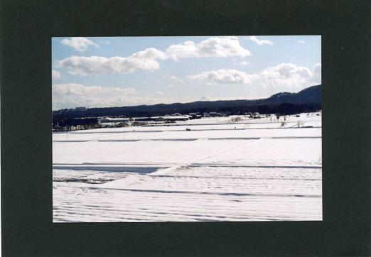 雪景色のフィルム。_c0046587_22213949.jpg