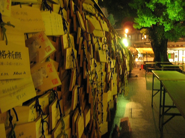 f0164989_09089.jpg