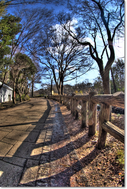 続Photomatixのインプレ_a0049195_151742.jpg