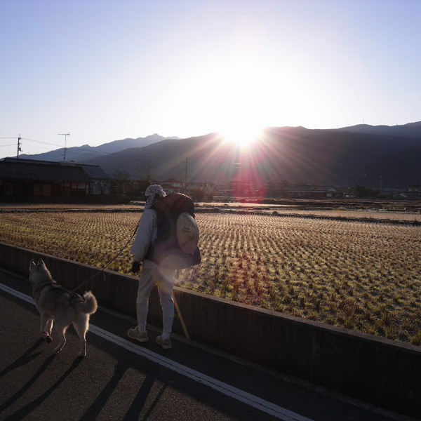 12月8日 おへんろ28日め♪ by GX100_c0049299_12315571.jpg