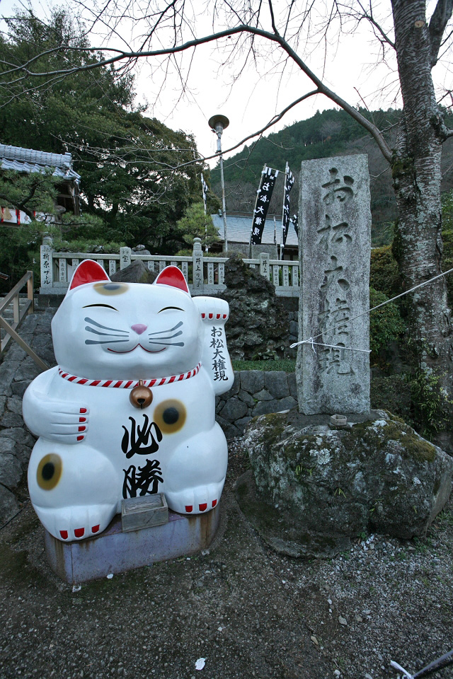 徳島 お松大権現 猫の神社 Magの写真創庫