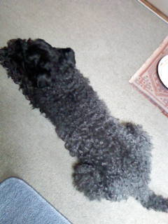 c0037701_2341844.jpg
