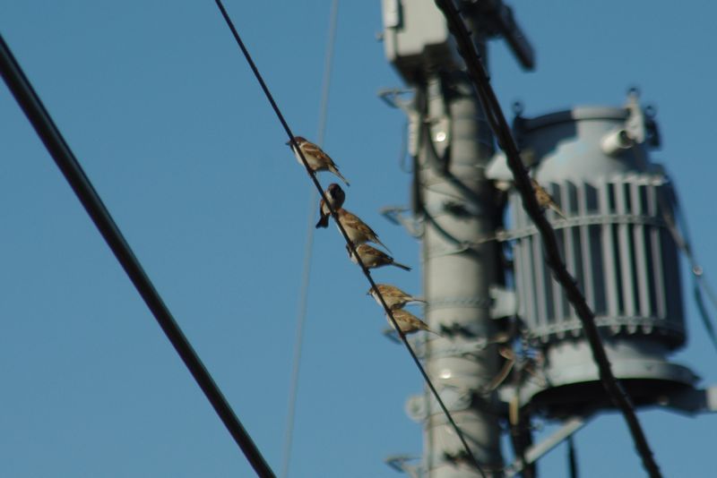 c0187503_19344845.jpg