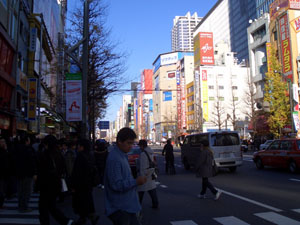b0040606_1544593.jpg