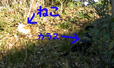 c0133013_21483871.jpg