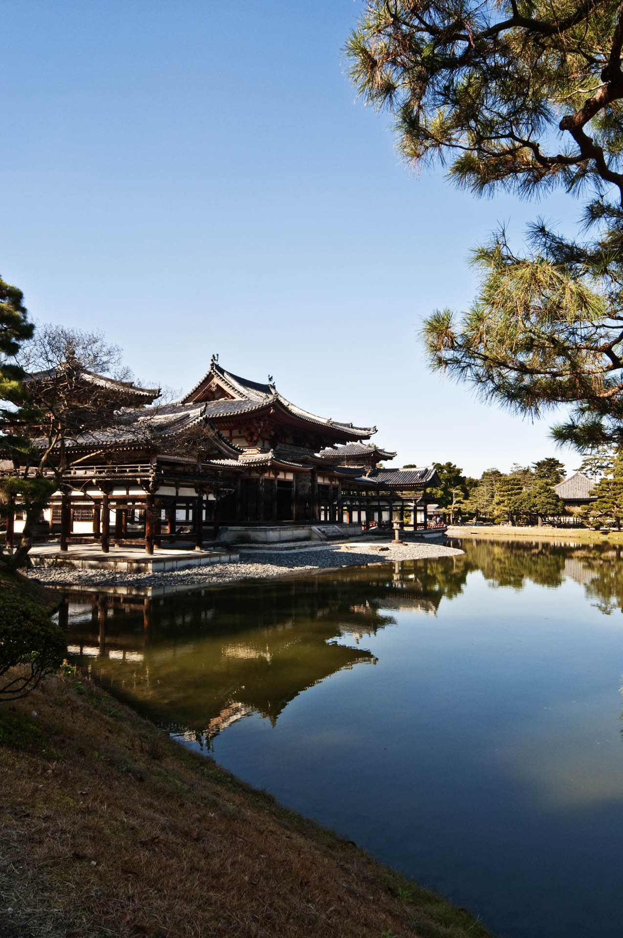 京都　宇治　　8　　平等院　(世界遺産)_d0073620_23332533.jpg