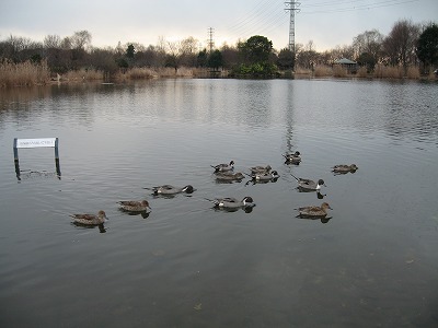 公園へ行こう　～番外編後半～ _e0162524_21442311.jpg