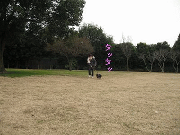 e0162524_21451119.gif